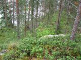 Image of landscape