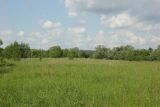 Image of landscape