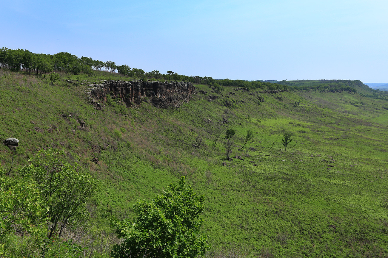 Николо-Львовское, image of landscape/habitat.