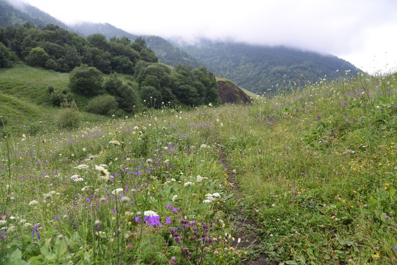 Урочище Лялах и окрестности, image of landscape/habitat.