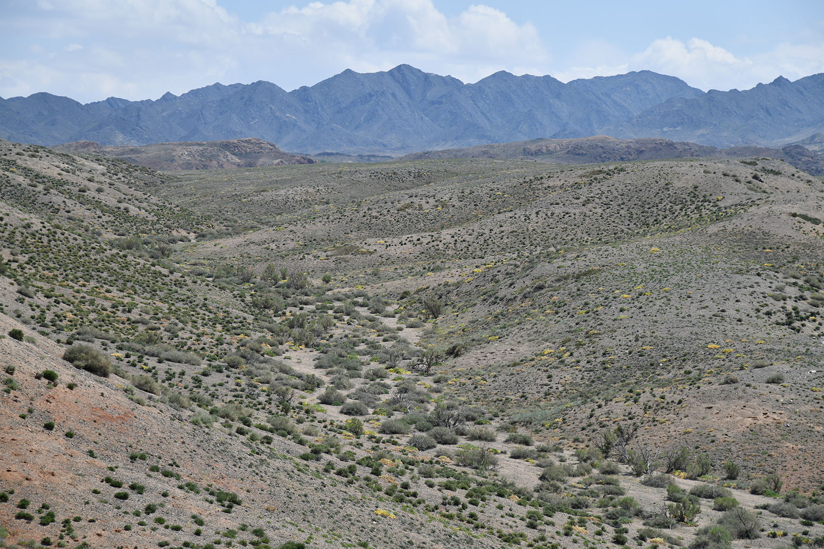 Горы Улькен-Богуты, image of landscape/habitat.