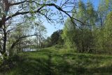 Image of landscape