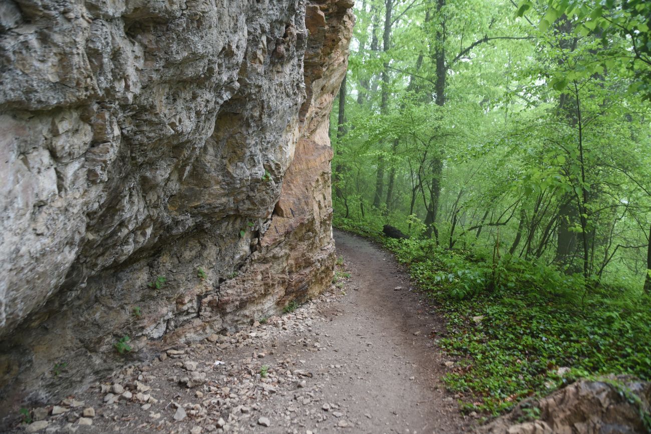Сквозная, image of landscape/habitat.