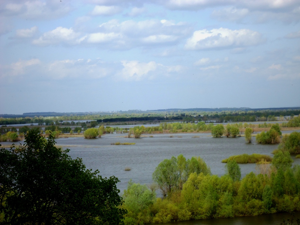 Солдыбаево, image of landscape/habitat.