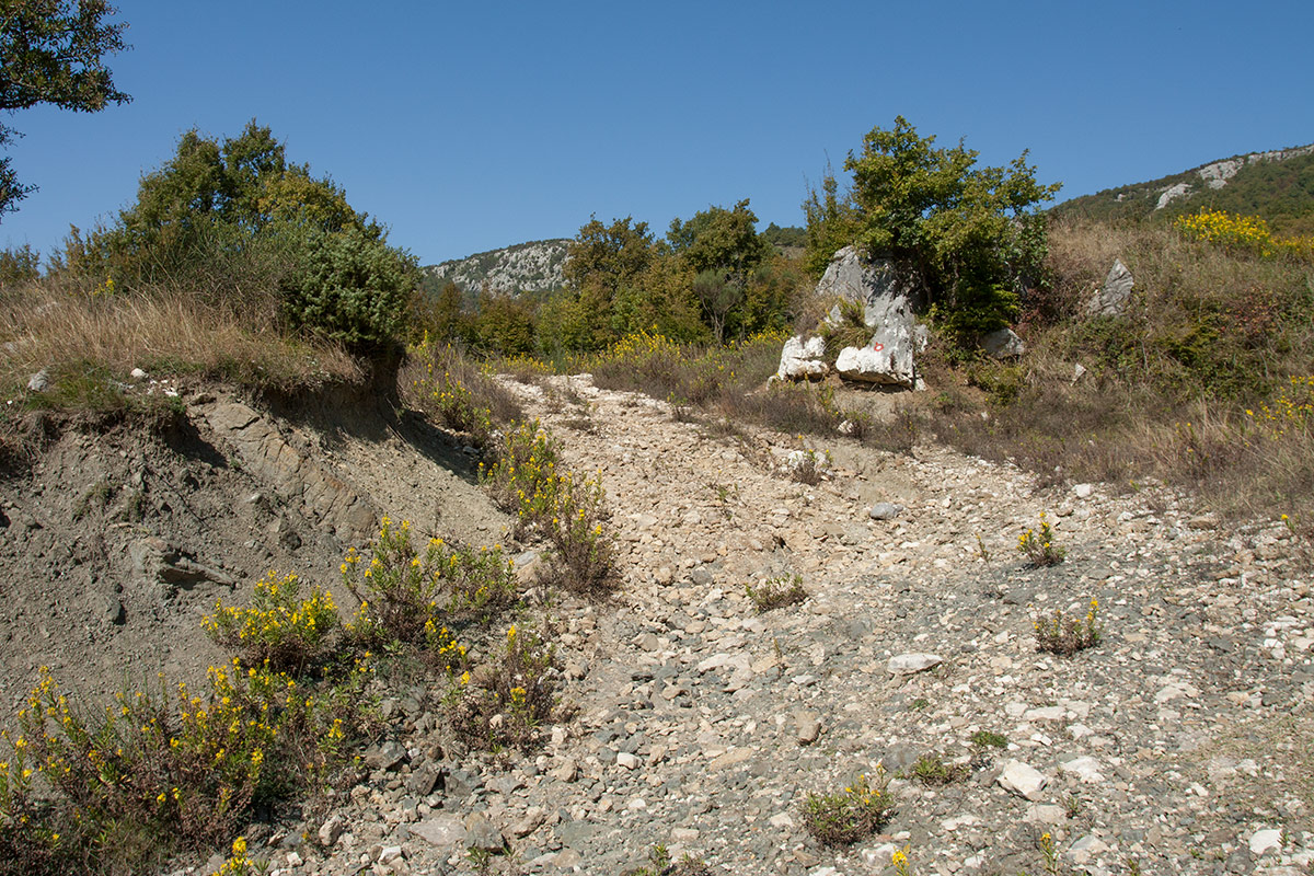 Кульяче и окрестности, image of landscape/habitat.