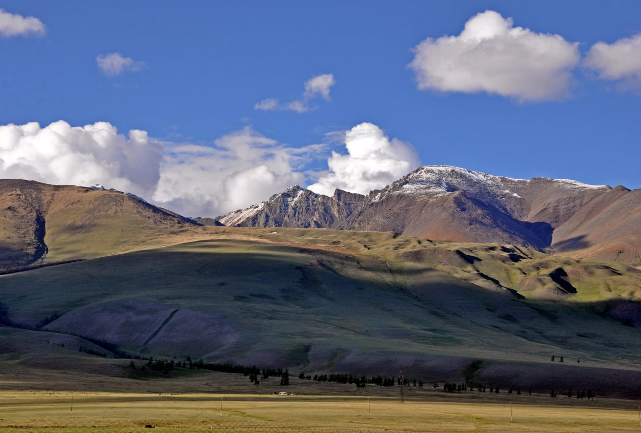 Окрестности села Курай, image of landscape/habitat.