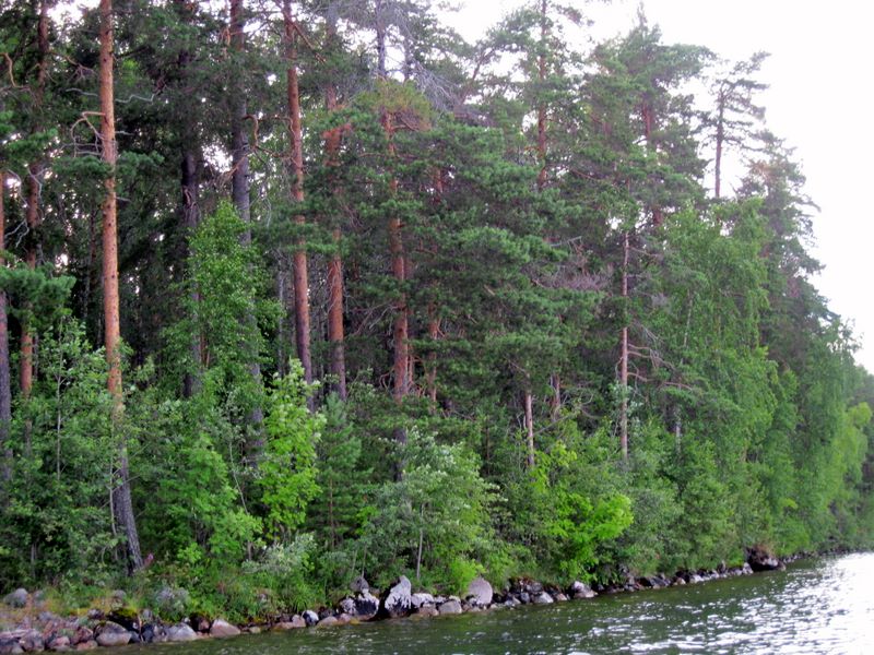 Урозеро, image of landscape/habitat.