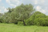 Image of landscape