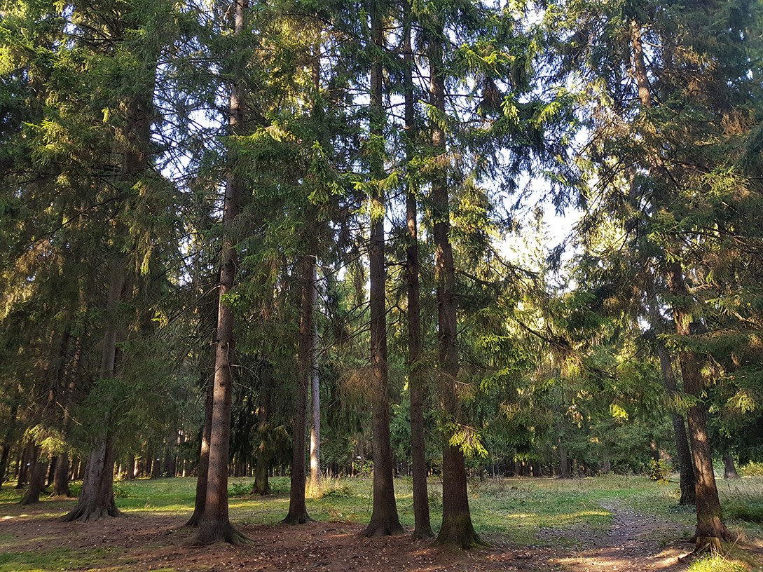 Дубна, image of landscape/habitat.