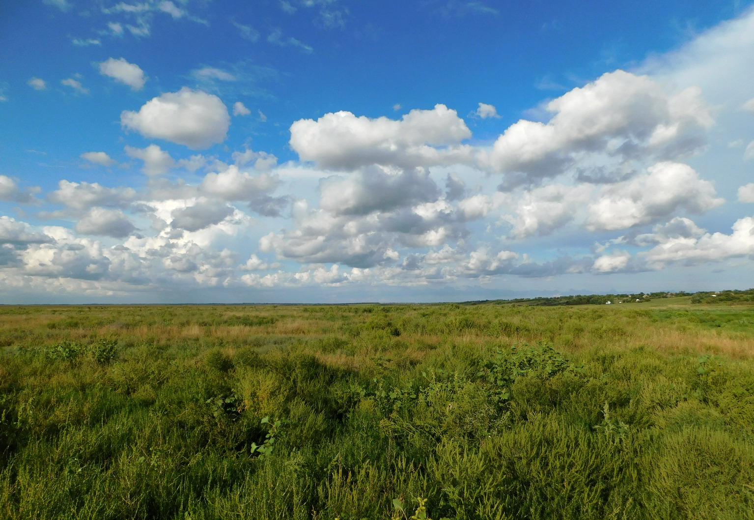 Кугей и его окрестности, image of landscape/habitat.
