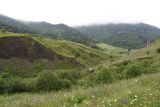 Урочище Лялах и окрестности, image of landscape/habitat.