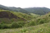 Урочище Лялах и окрестности, image of landscape/habitat.