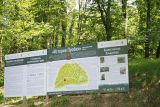 Кудепстенский дендропарк, image of landscape/habitat.