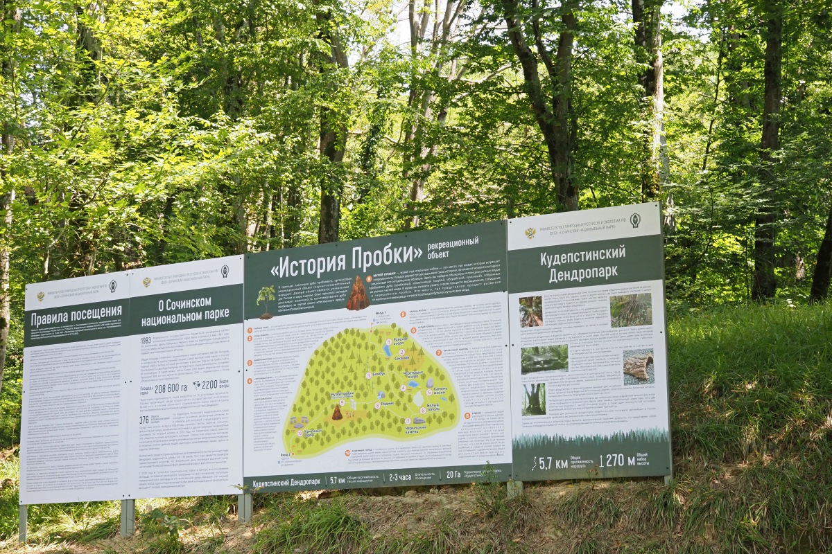 Кудепстенский дендропарк, image of landscape/habitat.