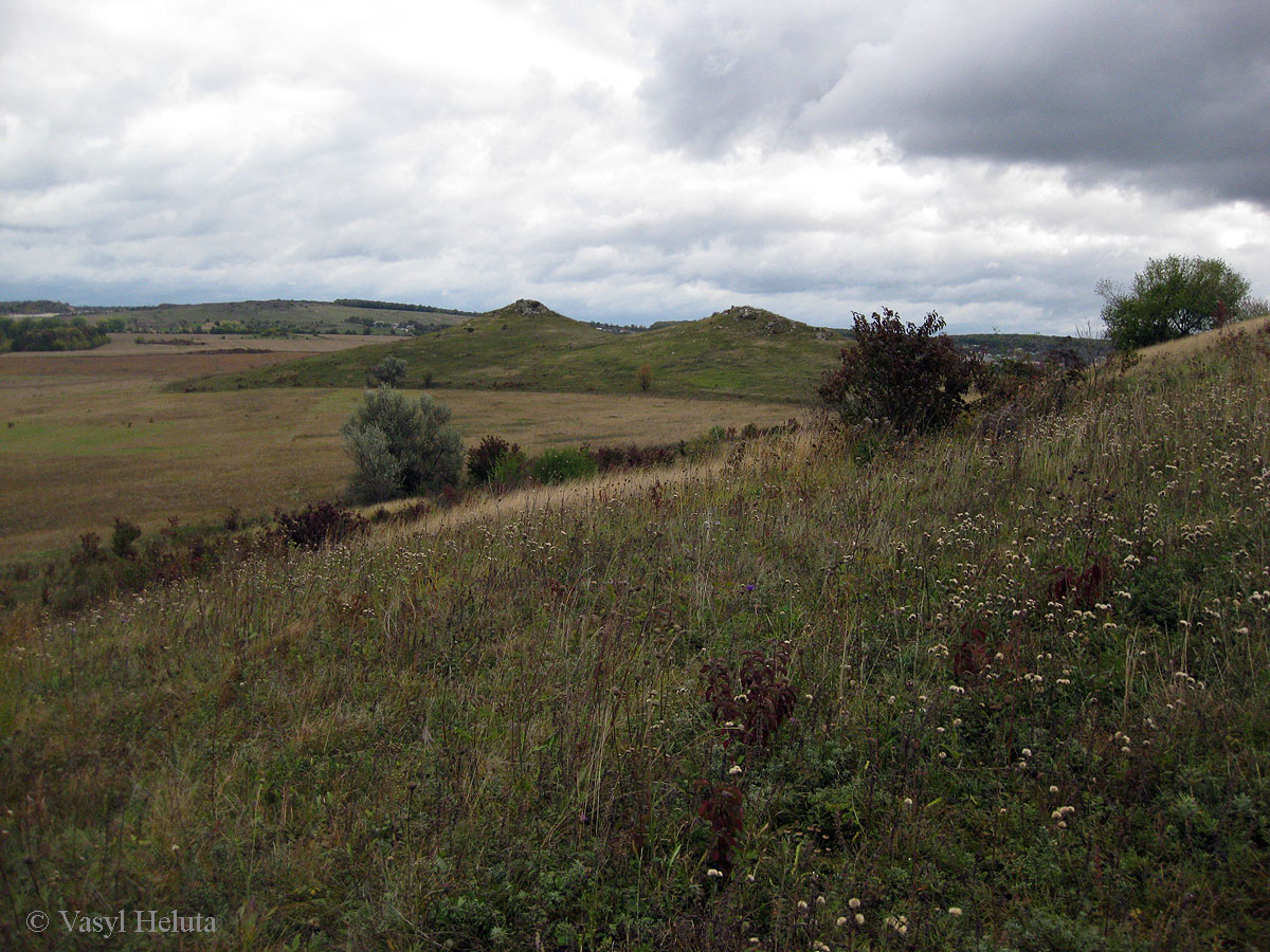 Четыре кавалера, image of landscape/habitat.