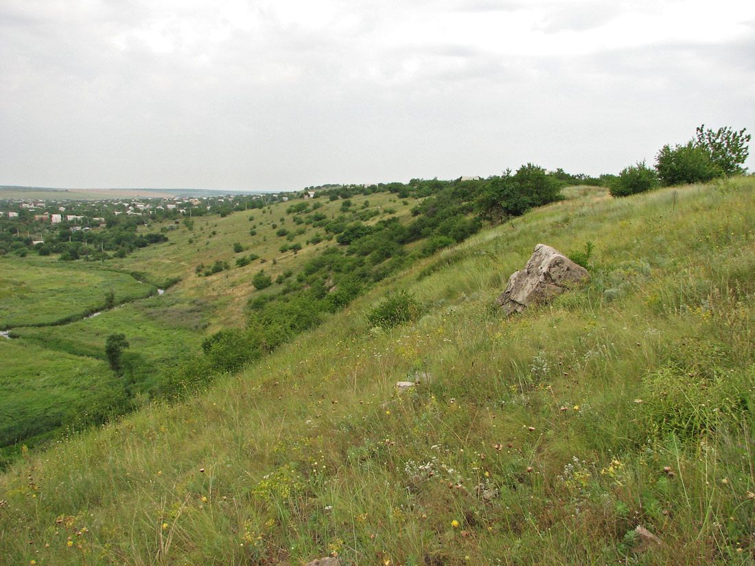 Берестовая, image of landscape/habitat.
