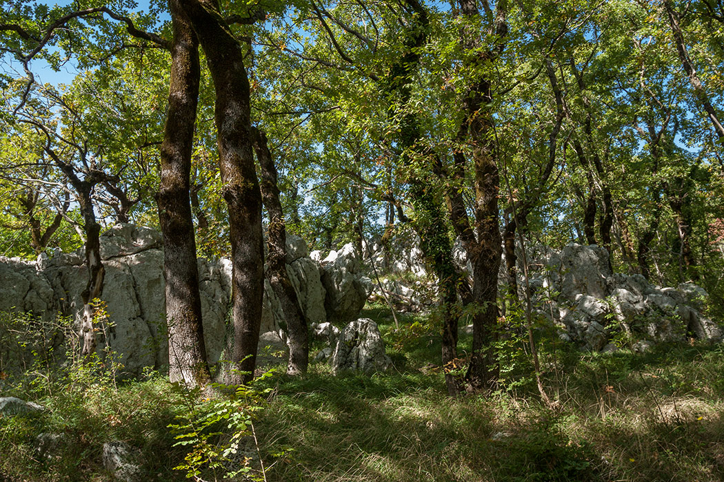 Кульяче и окрестности, image of landscape/habitat.