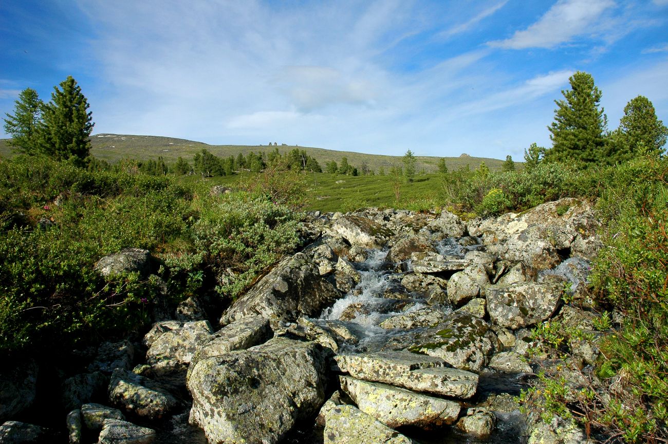 Окрестности озера Акташ, image of landscape/habitat.