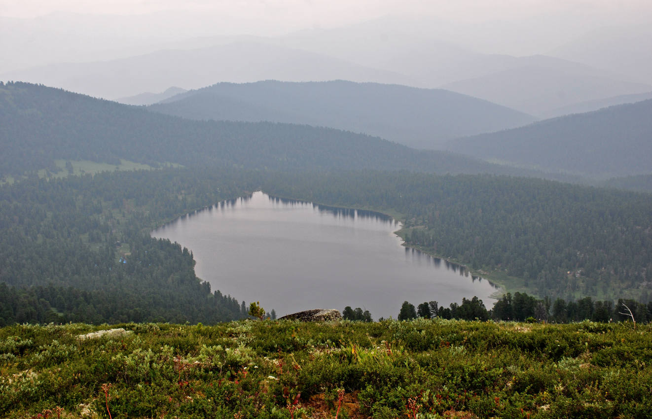 Озеро Светлое, image of landscape/habitat.