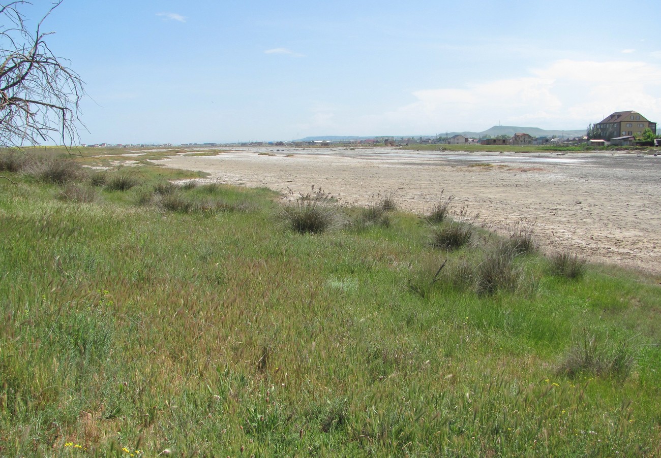 Избербаш, image of landscape/habitat.