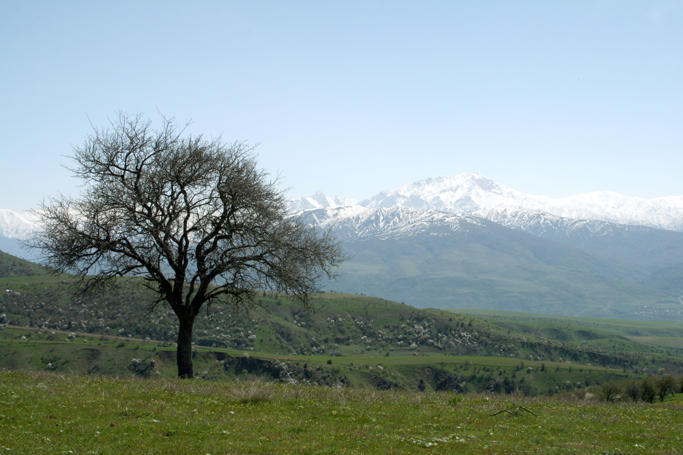 Хребет Каржантау, изображение ландшафта.