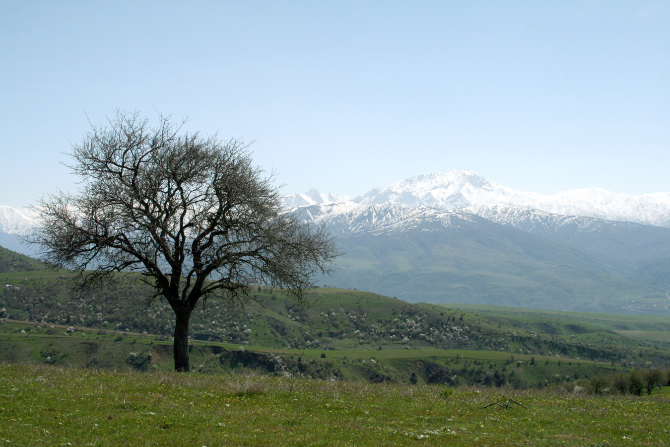 Хребет Каржантау, изображение ландшафта.