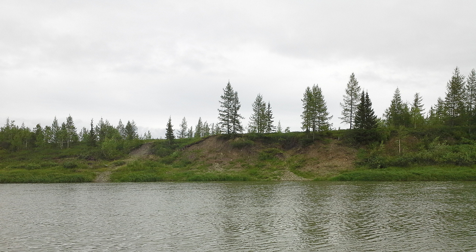 Ханмей в окрестностях Обской, image of landscape/habitat.