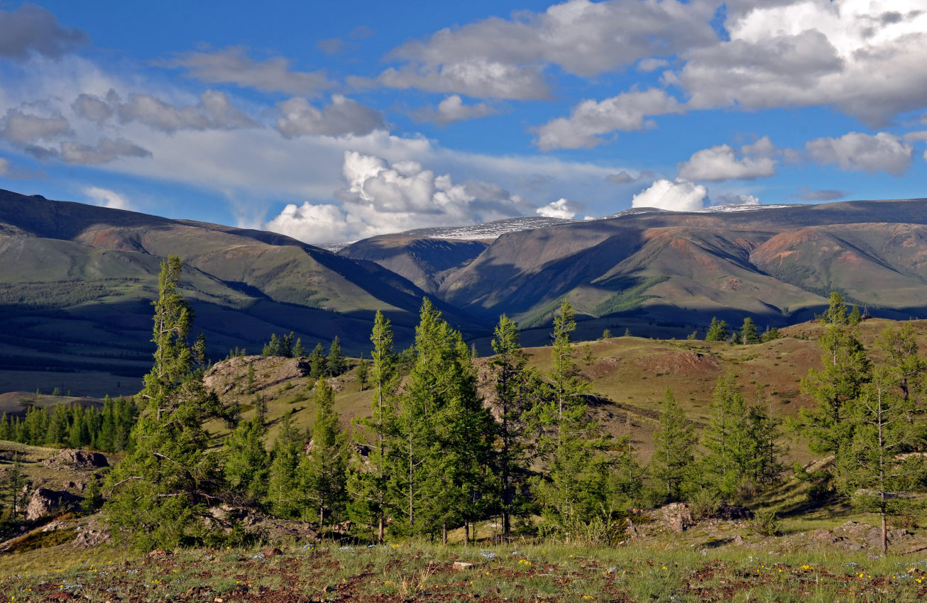 Окрестности села Курай, image of landscape/habitat.