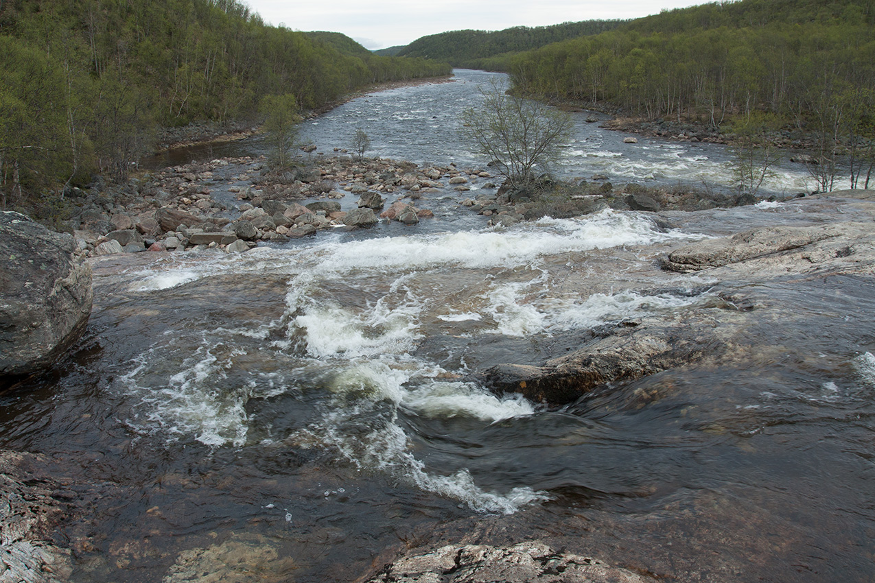 Мельничные водопады, image of landscape/habitat.