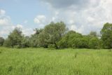 Image of landscape