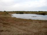 Между Саки и Евпаторией, image of landscape/habitat.