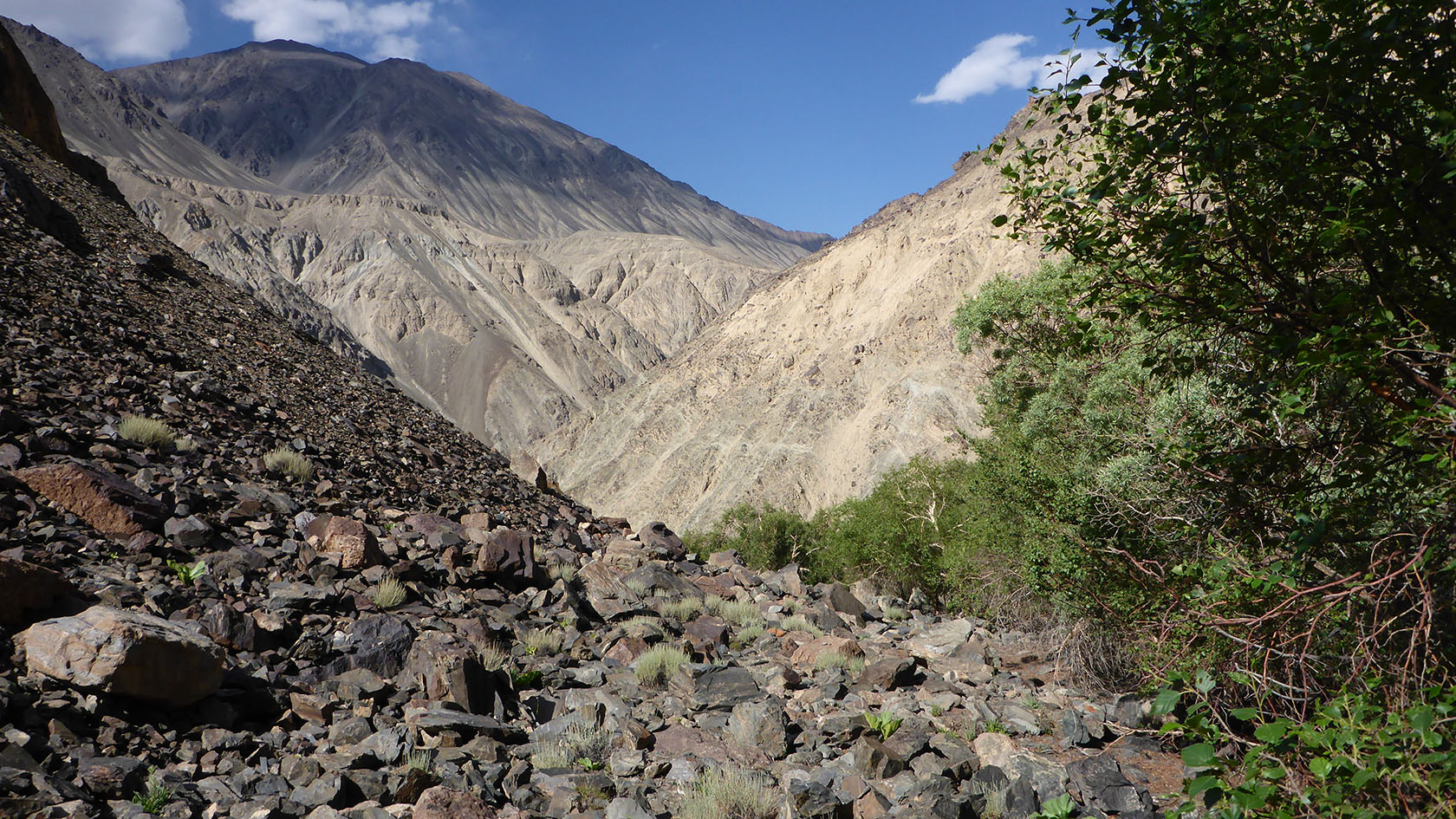 Берёзовая, image of landscape/habitat.