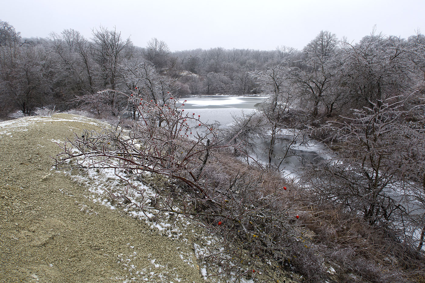 Карьер в Темрючках, image of landscape/habitat.