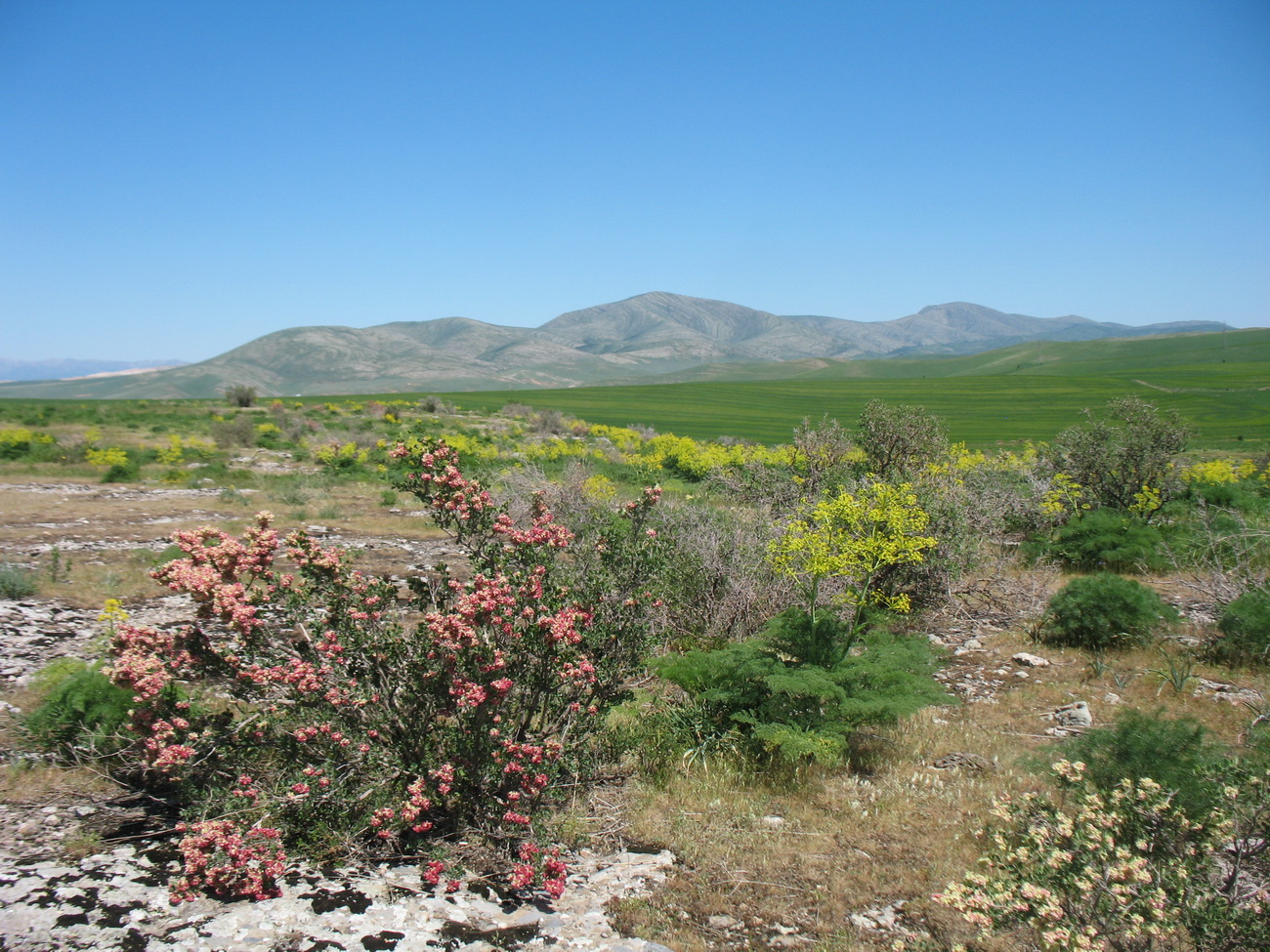 Каньон Машат, image of landscape/habitat.