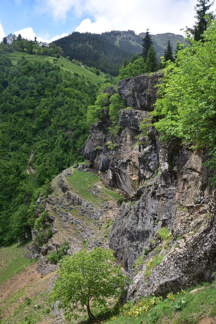 Окрестности монастыря Парехи, image of landscape/habitat.