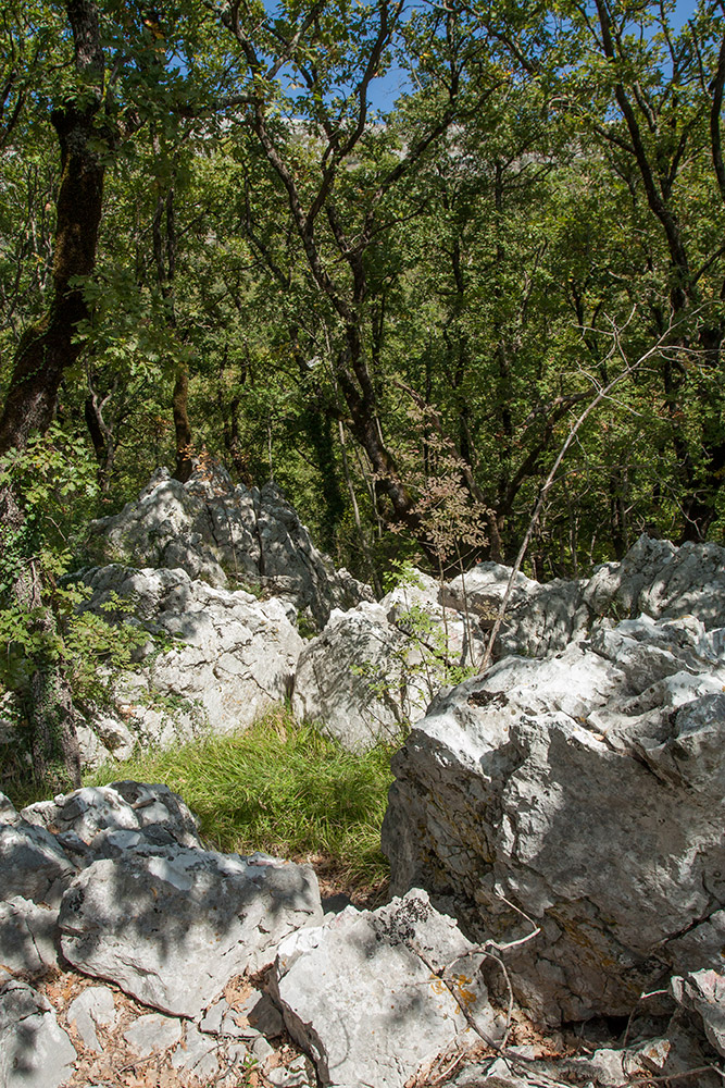 Кульяче и окрестности, image of landscape/habitat.