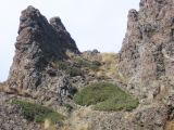 Image of landscape