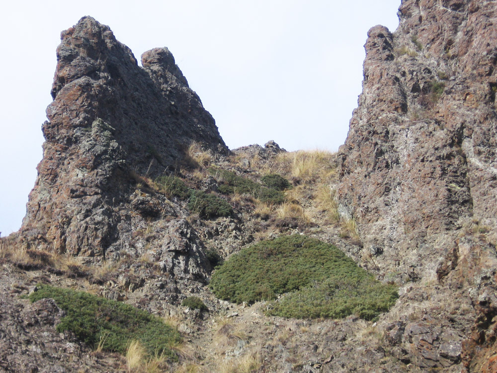 Гюмри, image of landscape/habitat.