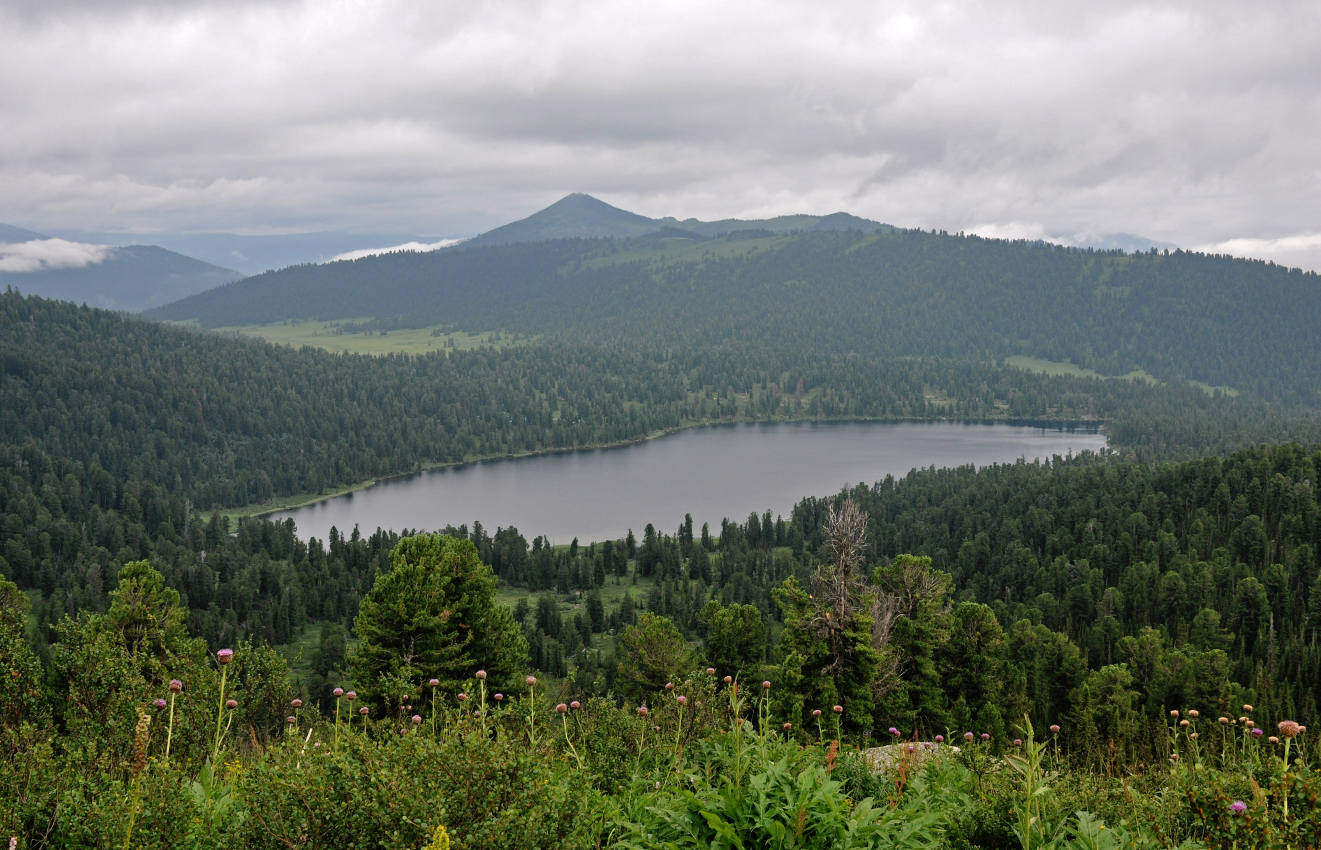 Озеро Светлое, image of landscape/habitat.