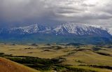 Окрестности села Курай, image of landscape/habitat.