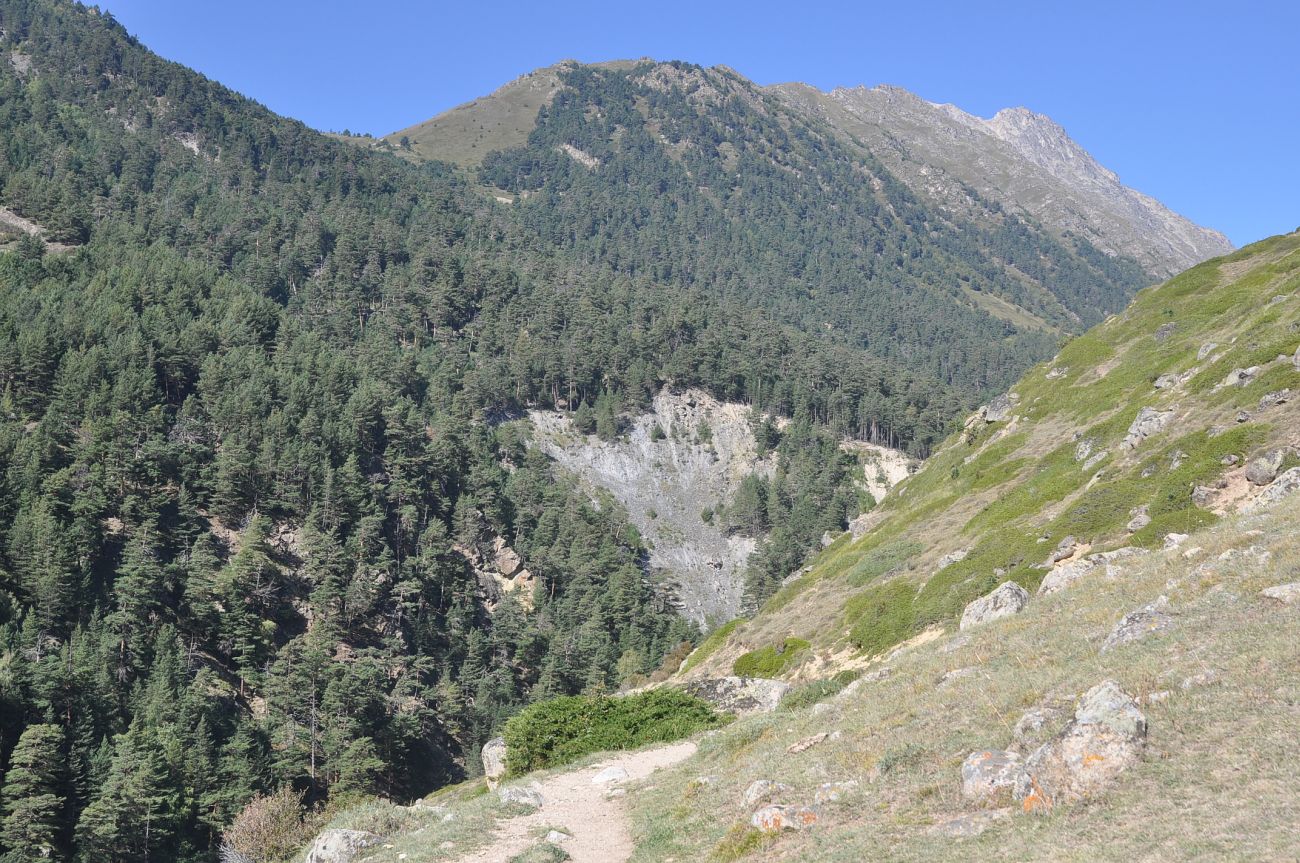 Долина реки Ирик, image of landscape/habitat.