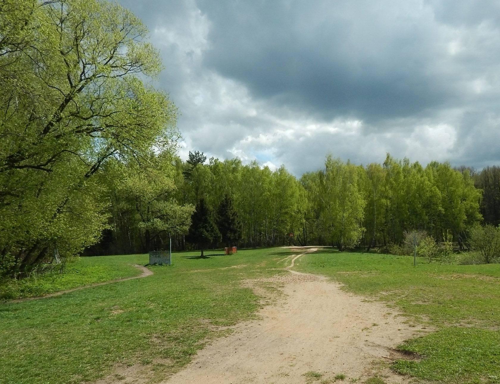 Битцевский лес, image of landscape/habitat.