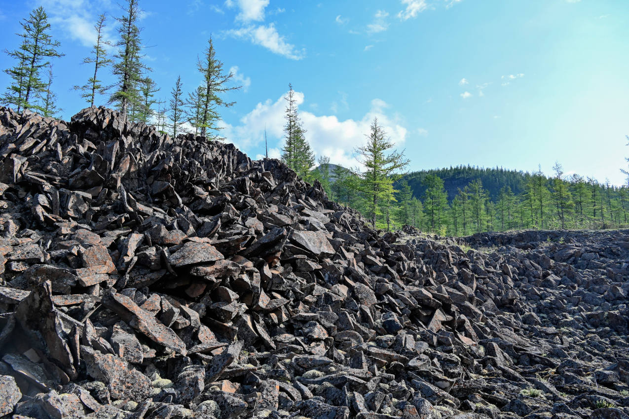 Долина реки Иркингда, image of landscape/habitat.