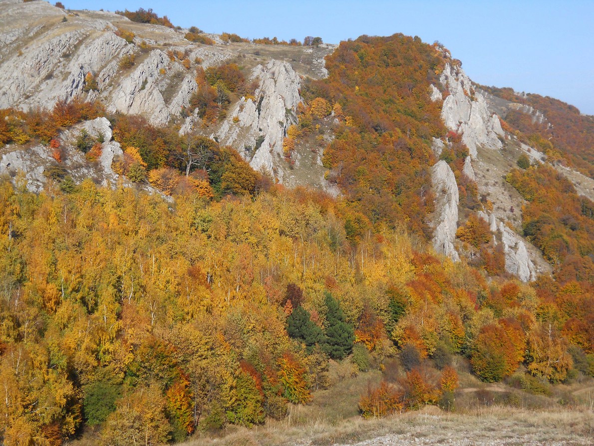 Южная Демерджи, image of landscape/habitat.