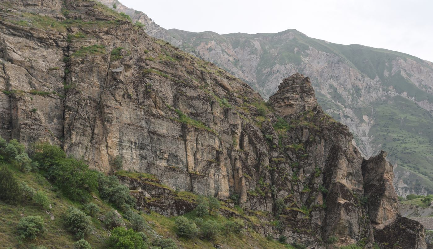 Устье реки Масура, image of landscape/habitat.