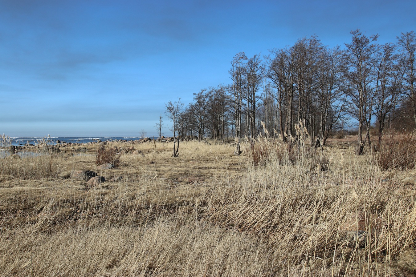 Каравалдай, изображение ландшафта.