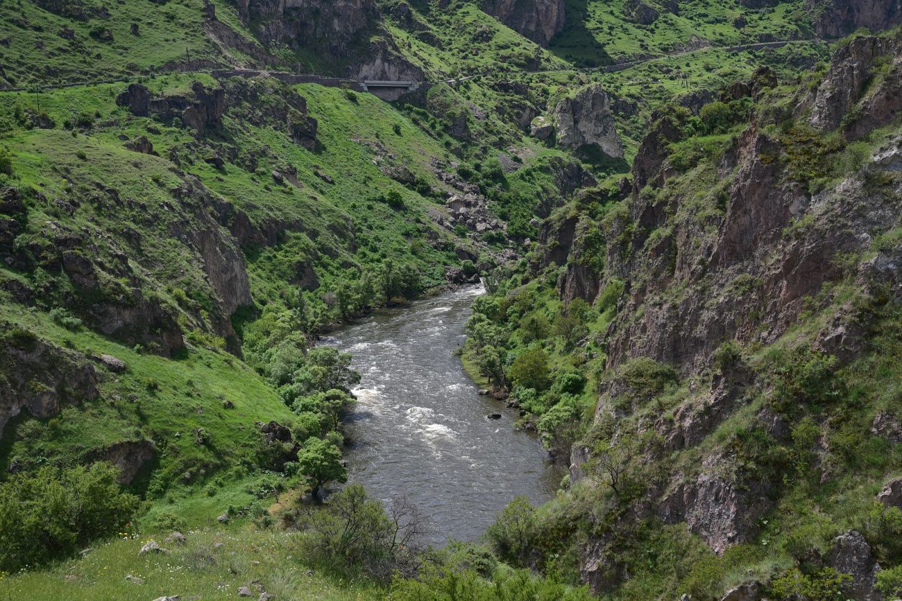 Окрестности крепости Тмогви, image of landscape/habitat.