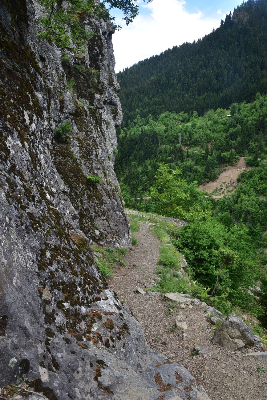 Окрестности монастыря Парехи, image of landscape/habitat.