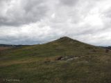 Image of landscape