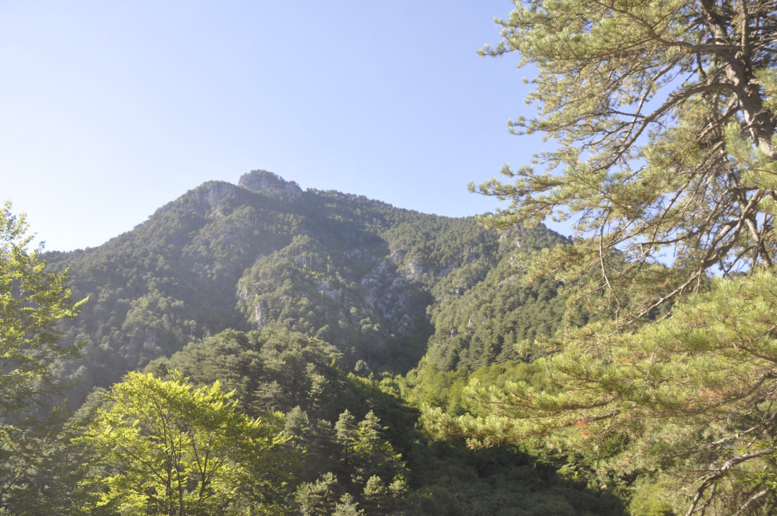 Олимп, image of landscape/habitat.